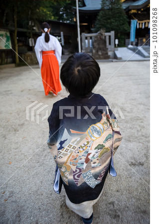 和服姿で七五三のお宮参りに来た5歳児が巫女の後に従い境内内を本殿へと移動していくところ 101098268