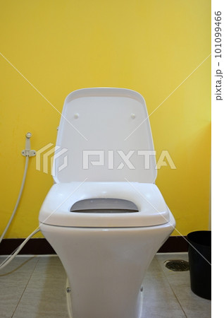 white flush toilet in yellow wall room, interior design white flush toilet in yellow wall room, interior design 101099466