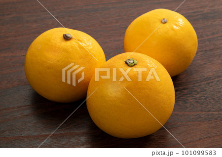 柑橘類のフルーツ、美生柑 柑橘類のフルーツ、美生柑 101099583