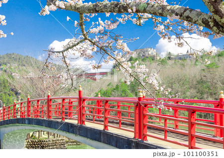 【岐阜県】恵那峡の赤い橋と満開の桜 【岐阜県】恵那峡の赤い橋と満開の桜 101100351