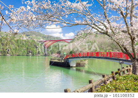 【岐阜県】恵那峡の赤い橋と満開の桜 【岐阜県】恵那峡の赤い橋と満開の桜 101100352