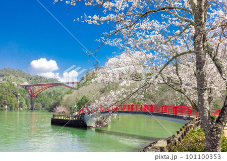 【岐阜県】恵那峡の赤い橋と満開の桜 101100353