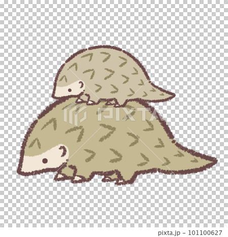 Pangolin parent and child 101100627