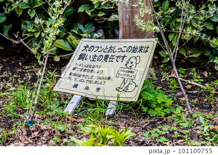 日本の横浜都市景観 ペットの散歩マナー…。「犬のフンとおしっこの始末は飼い主の責任です」=横浜市内 日本の横浜都市景観 ペットの散歩マナー…。「犬のフンとおしっこの始末は飼い主の責任です」=横浜市内 101100755