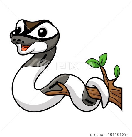 Cute axanthic pied ball python cartoon on tree branch 101101052