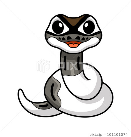Cute axanthic pied ball python cartoon Cute axanthic pied ball python cartoon 101101074