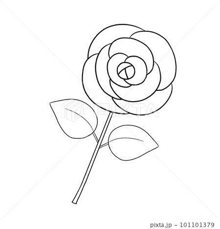 一輪の薔薇のシンプルな線画イラストのイラスト素材 [101101379] - PIXTA