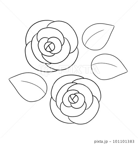 薔薇のシンプルな線画イラスト 薔薇のシンプルな線画イラスト 101101383