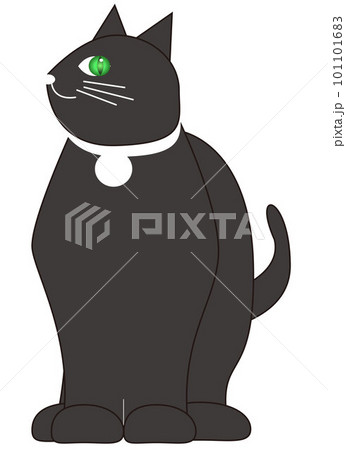 右後ろを見つめる猫ジェミアン 101101683
