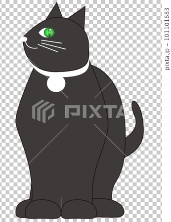 右後ろを見つめる猫ジェミアン 101101683