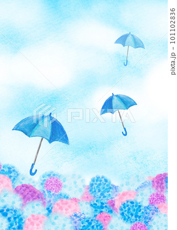 紫陽花と雨傘、梅雨をイメージした背景イラスト 紫陽花と雨傘、梅雨をイメージした背景イラスト 101102836