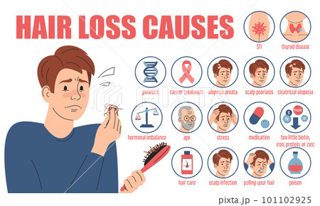 Hair loss causes infographic vector isolated. Web banner Hair loss causes infographic vector isolated. Web banner 101102925