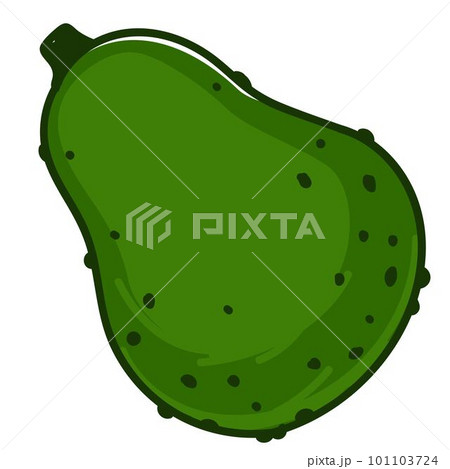 Avocado pear ripe vegetable with peel exotic fruit Avocado pear ripe vegetable with peel exotic fruit 101103724