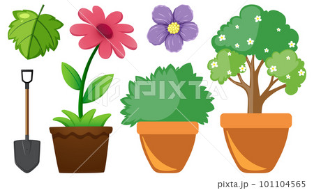Set of flowers and plants Set of flowers and plants 101104565