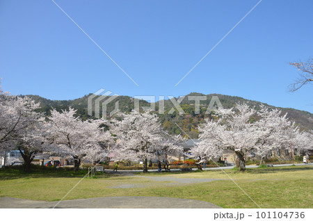 京都・嵐山 京都・嵐山 101104736