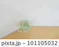 A photo of flowers placed in the living room that 101105032