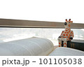 Photo for emotional accommodation Giraffe is 101105038