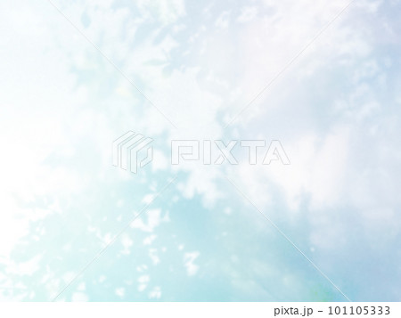 植物 影 光 日差し 植物 影 光 日差し 101105333