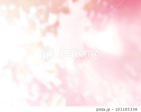 植物 影 光 日差し 植物 影 光 日差し 101105336