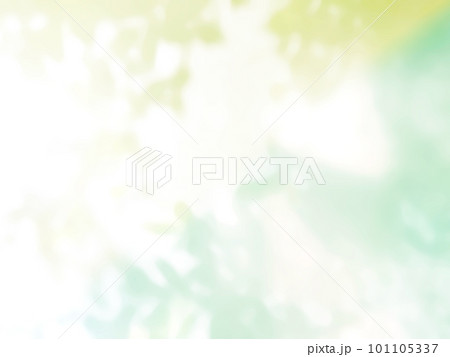 植物 影 光 日差し 植物 影 光 日差し 101105337