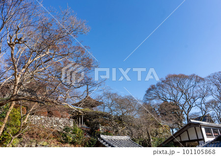 善峯寺 善峯寺 101105868