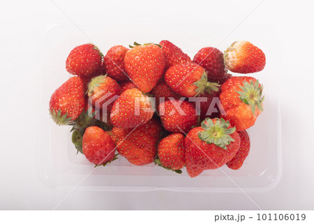 小粒いちご サイズ不揃い (とちおとめ) 小粒いちご サイズ不揃い (とちおとめ) 101106019