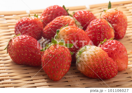 小粒いちご サイズ不揃い (とちおとめ) 小粒いちご サイズ不揃い (とちおとめ) 101106027