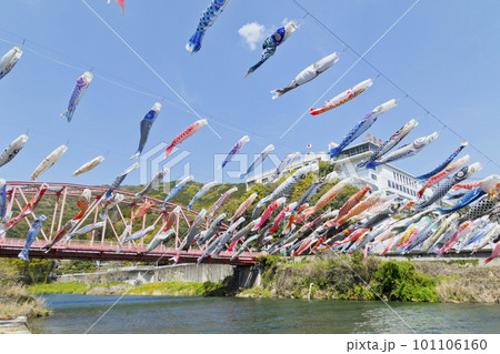 こいのぼり 101106160