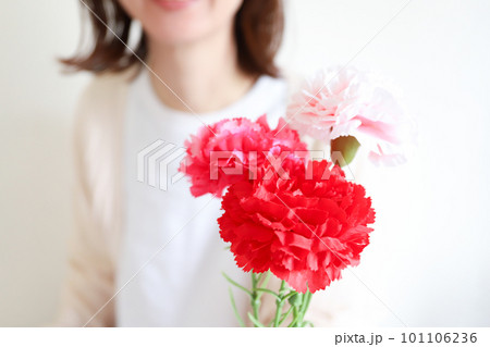 カーネーションの花束を持つ女性の手 カーネーションの花束を持つ女性の手 101106236