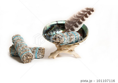 Abalone Shell With Sage Incense For Cleansing and Purification Abalone Shell With Sage Incense For Cleansing and Purification 101107116