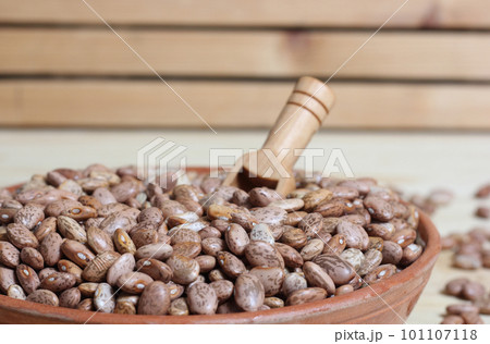 Dry Pinto Beans in Clay Bowl With Wooden Spoon in Rustic Kitchen Dry Pinto Beans in Clay Bowl With Wooden Spoon in Rustic Kitchen 101107118