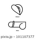 Male and Female genitalia in side view minimalist line. 101107377