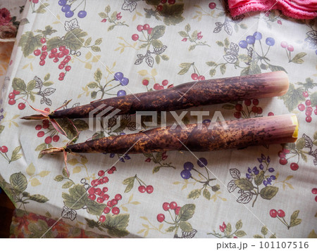 採れたてのタケノコ 101107516