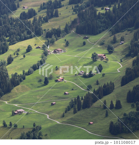 Green meadow, forest and houses in Gsteig bei Gstaad. Green meadow, forest and houses in Gsteig bei Gstaad. 101108017