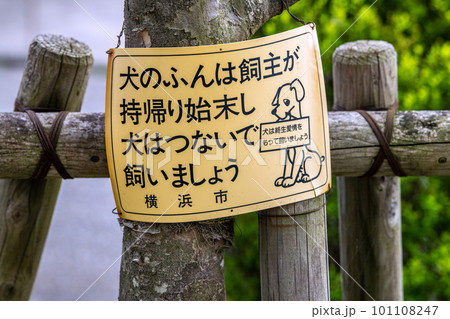 日本の横浜都市景観 ペットの散歩マナー…。犬のふんは飼い主が持ち帰り始末し犬はつないで飼いましょう 日本の横浜都市景観 ペットの散歩マナー…。犬のふんは飼い主が持ち帰り始末し犬はつないで飼いましょう 101108247