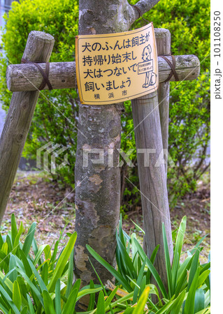 日本の横浜都市景観　ペットの散歩マナー…。犬のふんは飼い主が持ち帰り始末し犬はつないで飼いましょう 101108250