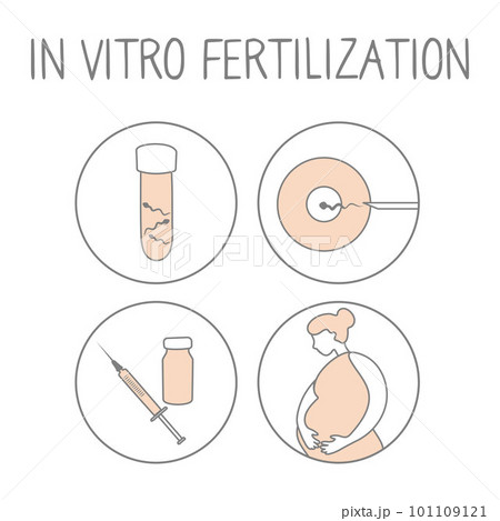 Pregnancy icon set. Linear simple illustration fertilization and childbirth. Motherhood signs. Vector 101109121