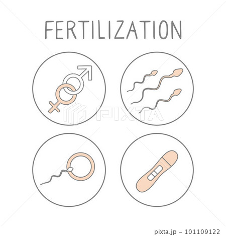 Fertilization icon set. Linear simple illustration pregnancy and childbirth. Motherhood signs. Vector 101109122