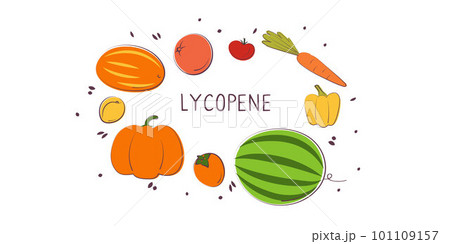 Lycopene-containing food. Groups of healthy...のイラスト素材 [101109157] - PIXTA