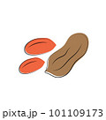 Peanuts in cartoon style. Nut icon for template label, packaging snackand emblem. Vector 101109173