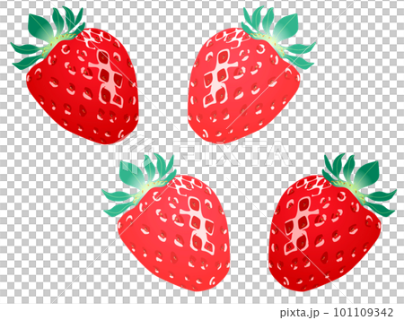 リアルないちごのイラスト リアルないちごのイラスト 101109342