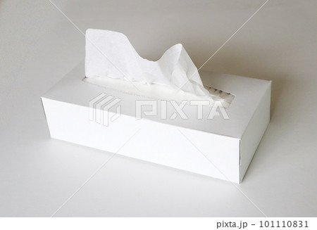 ボックスティッシュ1箱2 ボックスティッシュ1箱2 101110831