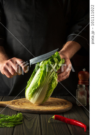 Chef or cook cuts fresh napa cabbage with knife for salad on a vintage kitchen table with fresh vegetables. Cooking and restaurant or cafe concept. 101111022