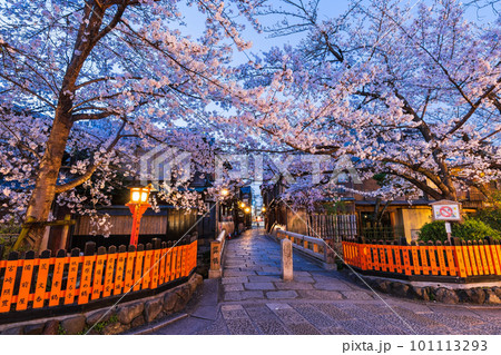 春の京都 桜満開の祇園白川 夜明け前 春の京都 桜満開の祇園白川 夜明け前 101113293