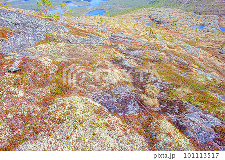 Mountain tundra in Lapland 101113517