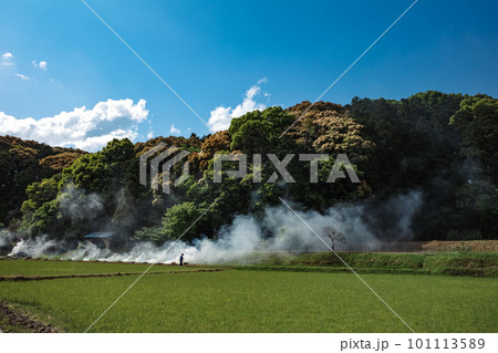 青空と田んぼ田舎の風景 青空と田んぼ田舎の風景 101113589