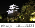 忍城夜景 101113823
