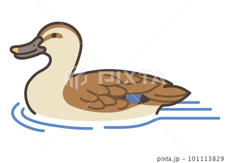 泳ぐカルガモのイラスト 泳ぐカルガモのイラスト 101113829