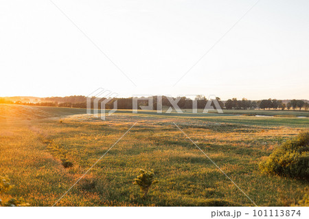 Green field with green grass in the bright orange light of the sun. Landscape countryside. Green field with green grass in the bright orange light of the sun. Landscape countryside. 101113874