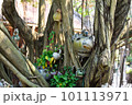 木と調和する、ジブリの世界観。 101113971